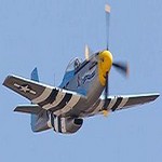 p51_01