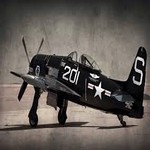 f8f-1_01